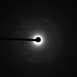 MicroED on a globular protein